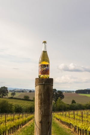 2021 Pét-Nat of Melon de Bourgogne