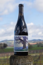 2021 Pinot Noir "Sapience"